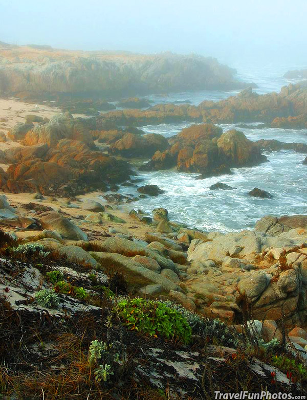 Foggy Day at The Beach in Monterey, California – USA
