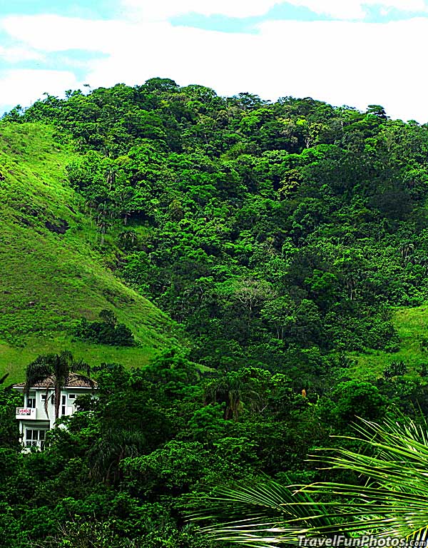 Beautiful Muriqui Hills of Brazil