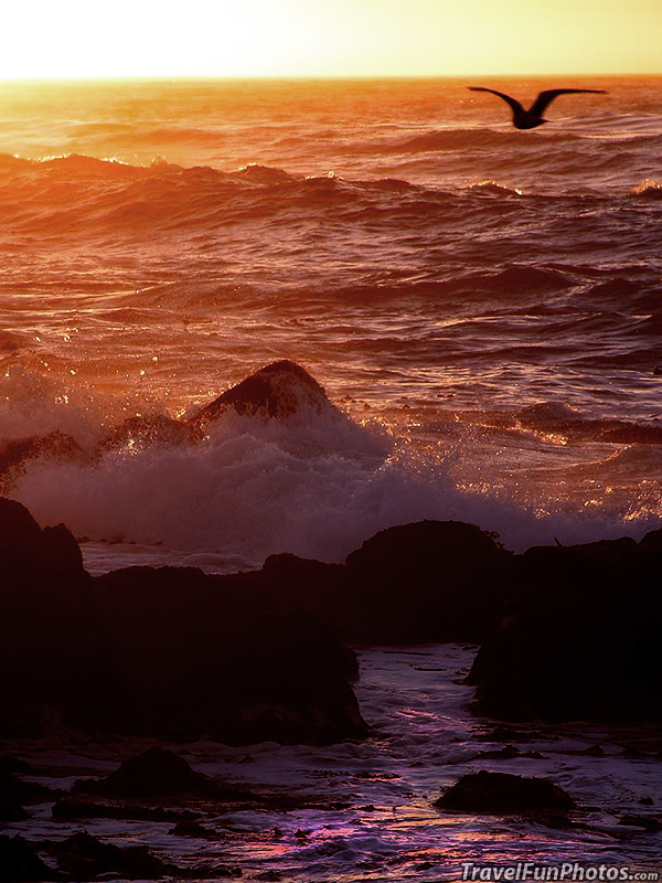 Beach at Big Sur, California – USA