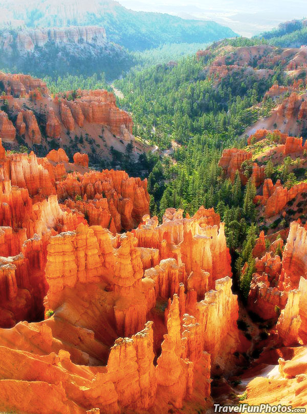 Stunning Rock Formations in Bryce Canyon National Park, Utah – USA