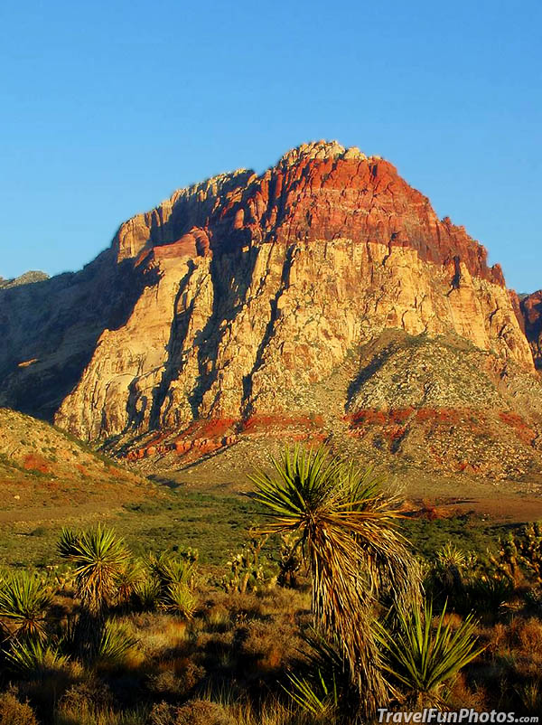 Red Rock Canyon National Conservation Area, Las Vegas, Nevada – USA